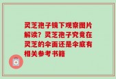 灵芝孢子镜下观察图片解读？灵芝孢子究竟在灵芝的伞面还是伞底有相关参考书籍