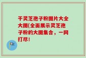 干灵芝孢子粉图片大全大图(全面展示灵芝孢子粉的大图集合，一网打尽！
