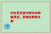 村长灵芝孢子粉村长种植灵芝，获得优质孢子粉