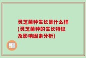 灵芝菌种生长是什么样(灵芝菌种的生长特征及影响因素分析)