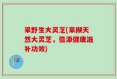 采野生大灵芝(采撷天然大灵芝，倍添健康滋补功效)