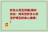 野生小灵芝特惠(限时折扣：纯天然野生小灵芝护理您的身心健康！)