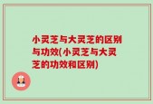 小灵芝与大灵芝的区别与功效(小灵芝与大灵芝的功效和区别)