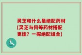 灵芝和什么是绝配药材(灵芝与何等药材搭配更佳？一探绝配组合)