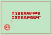 灵芝菌包能掰开种吗(灵芝菌包能开蘑菇吗？)