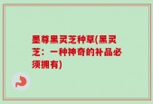 墨尊黑灵芝种草(黑灵芝：一种神奇的补品必须拥有)