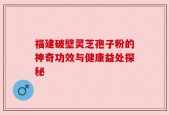 福建破壁灵芝孢子粉的神奇功效与健康益处探秘