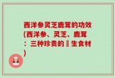 西洋参灵芝鹿茸的功效(西洋参、灵芝、鹿茸：三种珍贵的養生食材)