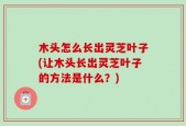 木头怎么长出灵芝叶子(让木头长出灵芝叶子的方法是什么？)