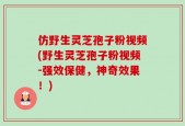 仿野生灵芝孢子粉视频(野生灵芝孢子粉视频-强效保健，神奇效果！)