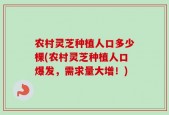 农村灵芝种植人口多少棵(农村灵芝种植人口爆发，需求量大增！)