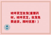 坡坪灵芝批发(重要药材，坡坪灵芝，批发免费送货，限时优惠！)