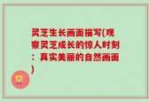 灵芝生长画面描写(观察灵芝成长的惊人时刻：真实美丽的自然画面)