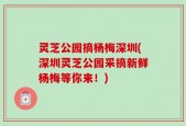 灵芝公园摘杨梅深圳(深圳灵芝公园采摘新鲜杨梅等你来！)