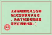 王者荣耀里的灵芝在哪领(灵芝获取方式介绍，快来了解王者荣耀里灵芝在哪里领取！)