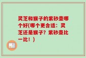 灵芝和猴子的紫砂壶哪个好(哪个更合适：灵芝还是猴子？紫砂壶比一比！)