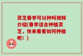 灵芝春季可以种吗视频介绍(春季适合种植灵芝，快来看看如何种植吧！)