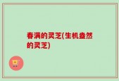 春满的灵芝(生机盎然的灵芝)