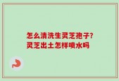 怎么清洗生灵芝孢子？灵芝出土怎样喷水吗