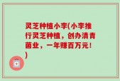 灵芝种植小李(小李推行灵芝种植，创办清青菌业，一年赚百万元！)