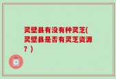 灵壁县有没有种灵芝(灵壁县是否有灵芝资源？)