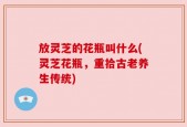 放灵芝的花瓶叫什么(灵芝花瓶，重拾古老养生传统)