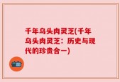 千年乌头肉灵芝(千年乌头肉灵芝：历史与现代的珍贵合一)