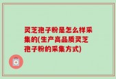 灵芝孢子粉是怎么样采集的(生产高品质灵芝孢子粉的采集方式)