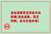 青丝漾黑灵芝何首乌白转黑(青首漾黑，灵芝何物，首乌大有妙用)