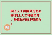 网上人工种植灵芝怎么样(网上人工种植灵芝：种植技巧和步骤简介)
