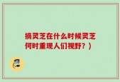 摘灵芝在什么时候灵芝何时重现人们视野？)