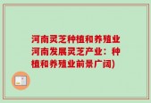 河南灵芝种植和养殖业河南发展灵芝产业：种植和养殖业前景广阔)