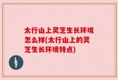 太行山上灵芝生长环境怎么样(太行山上的灵芝生长环境特点)