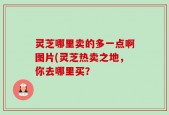 灵芝哪里卖的多一点啊图片(灵芝热卖之地，你去哪里买？