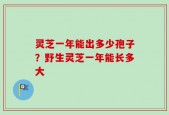 灵芝一年能出多少孢子？野生灵芝一年能长多大