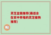 灵芝盆栽推荐(最适合在家中养殖的灵芝植物推荐)