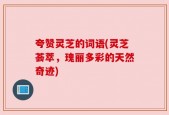 夸赞灵芝的词语(灵芝荟萃，瑰丽多彩的天然奇迹)