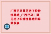 广西巴马灵芝孢子粉种植基地_广西巴马：灵芝孢子粉种植基地的繁荣发展