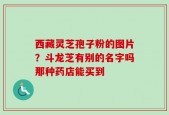 西藏灵芝孢子粉的图片？斗龙芝有别的名字吗那种药店能买到