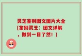 灵芝鉴别图文图片大全(鉴别灵芝：图文详解，做到一目了然！)