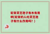 驼背灵芝孢子有木有用啊(驼背的人吃灵芝孢子有什么作用吗？)