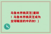 乌鲁木齐杨灵芝(重磅！乌鲁木齐杨灵芝成为全球瞩目的中药材！)