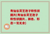 寿仙谷灵芝孢子粉性状图片(寿仙谷灵芝孢子粉性状图片，颜色、形态一览无余)