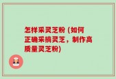 怎样采灵芝粉 (如何正确采摘灵芝，制作高质量灵芝粉)