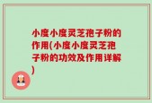 小度小度灵芝孢子粉的作用(小度小度灵芝孢子粉的功效及作用详解)