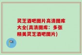 灵芝酒吧图片高清图库大全(高清图库：多张精美灵芝酒吧图片)