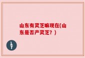 山东有灵芝嘛现在(山东是否产灵芝？)