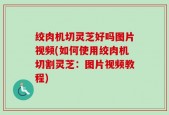 绞肉机切灵芝好吗图片视频(如何使用绞肉机切割灵芝：图片视频教程)