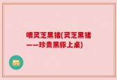 喂灵芝黑猪(灵芝黑猪——珍贵黑豚上桌)