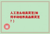 人工怎么培高灵芝(如何手动培养高品质灵芝？)